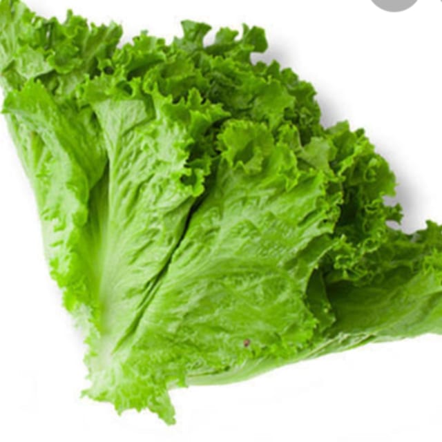 Lettuce.